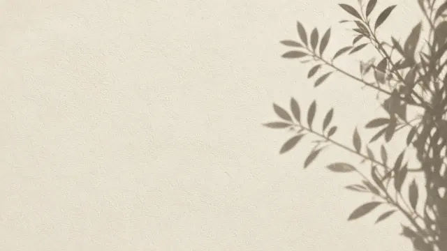 Limewash Stucco Wall with Elongated Olive Branch Silhouette