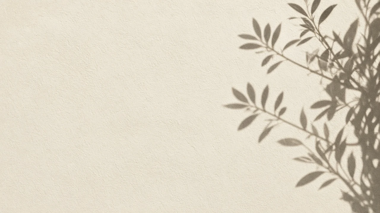 Limewash Stucco Wall with Elongated Olive Branch Silhouette