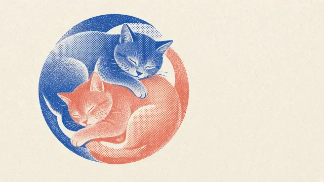 Two-Tone Minimalist Risograph Print of Entwined Sleeping Kittens