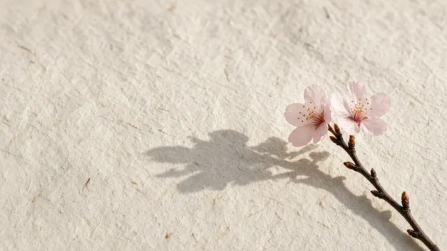 Single Cherry Blossom Twig with Soft Shadow on Warm Rice Paper Wall
