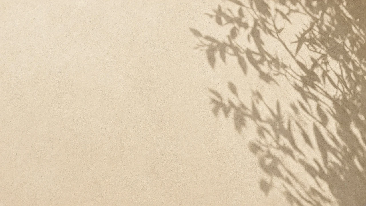 Minimalist Olive Branch Shadows on Sunlit Limewash Stucco