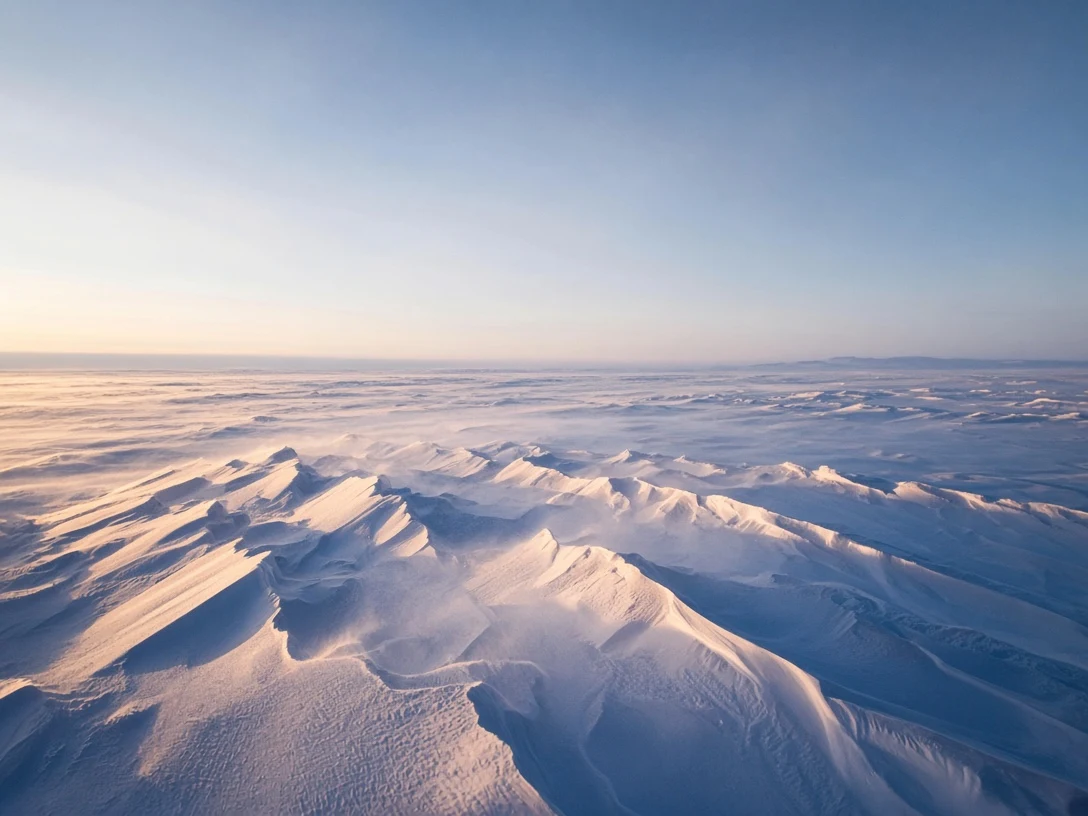 Sastrugi Wind Carvings and Drifting Snow Vortices