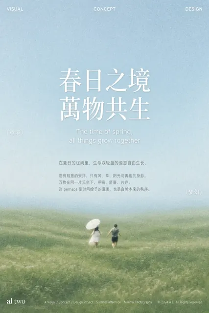 电影感 image example: 柯达胶片质感夏日草原极简摄影海报